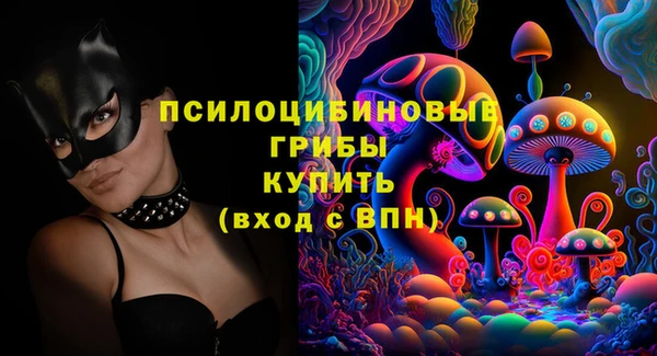 прущая мука Арсеньев