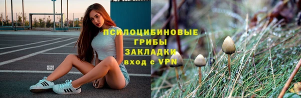прущая мука Арсеньев