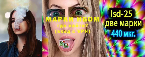 PSILOCYBIN Гусь-Хрустальный