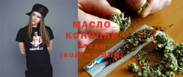 мдпв Гусев