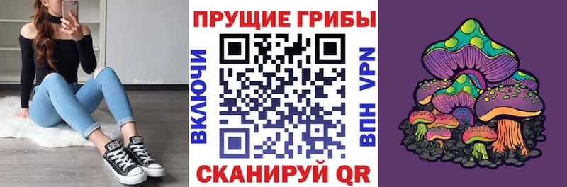 Псилоцибиновые грибы мухоморы площадка официальный сайт Северо-Курильск
